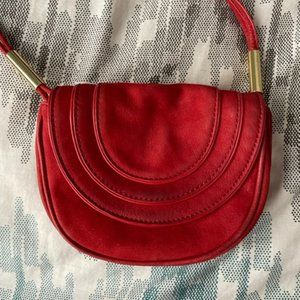 Diane Von Furstenberg mini crossbody bag